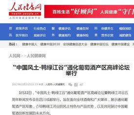 武汉网红爆料新闻报道,揭秘城市新地标背后的故事